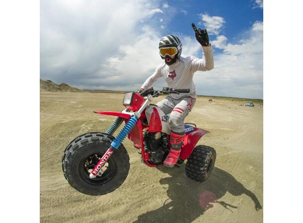 Pit Viper Brapstrap The Miami Nights, L Gold Lens, Large