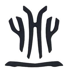 TLD Youth Flowline Headliner Black